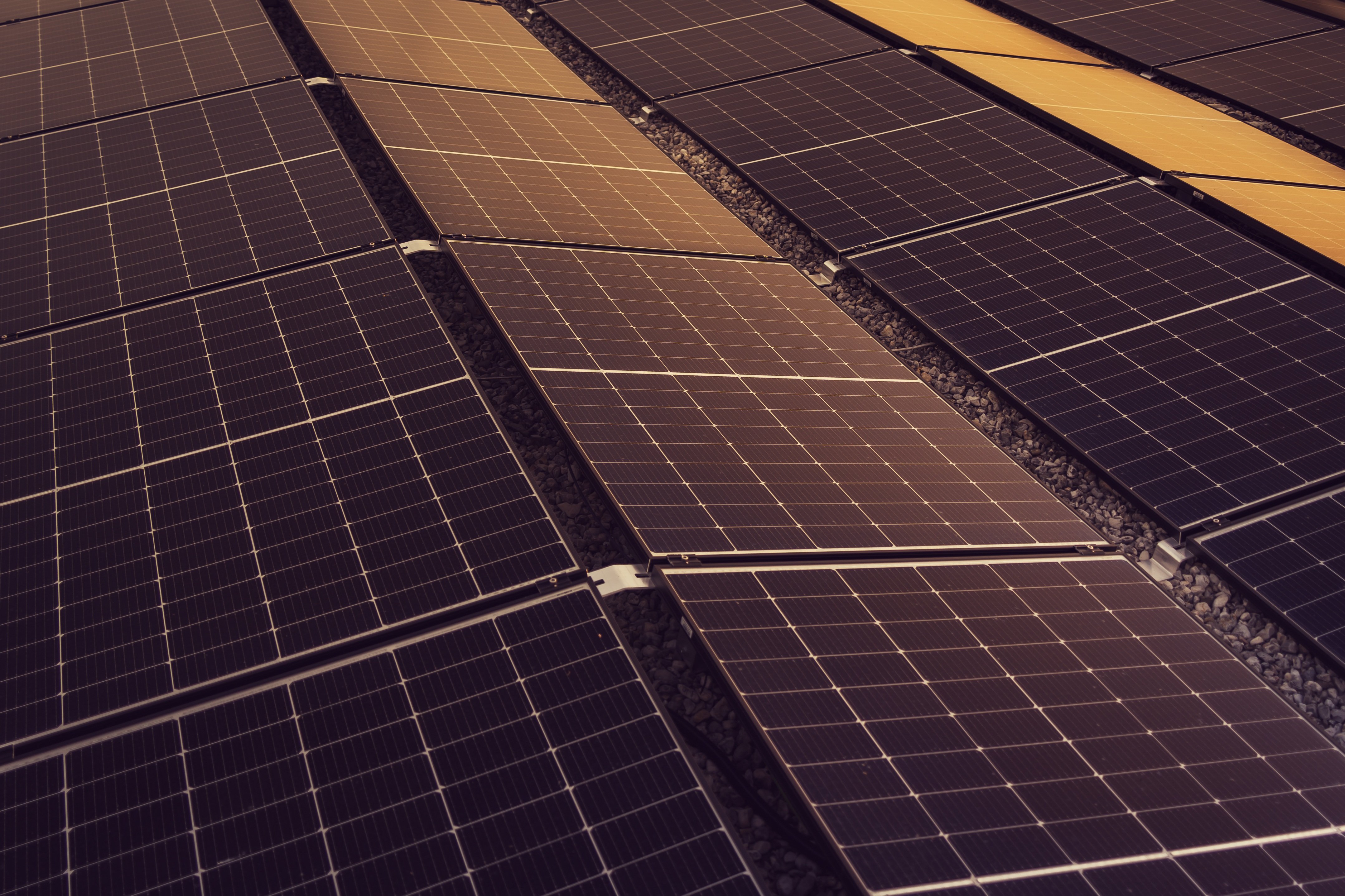 Deep Expertise — solar field